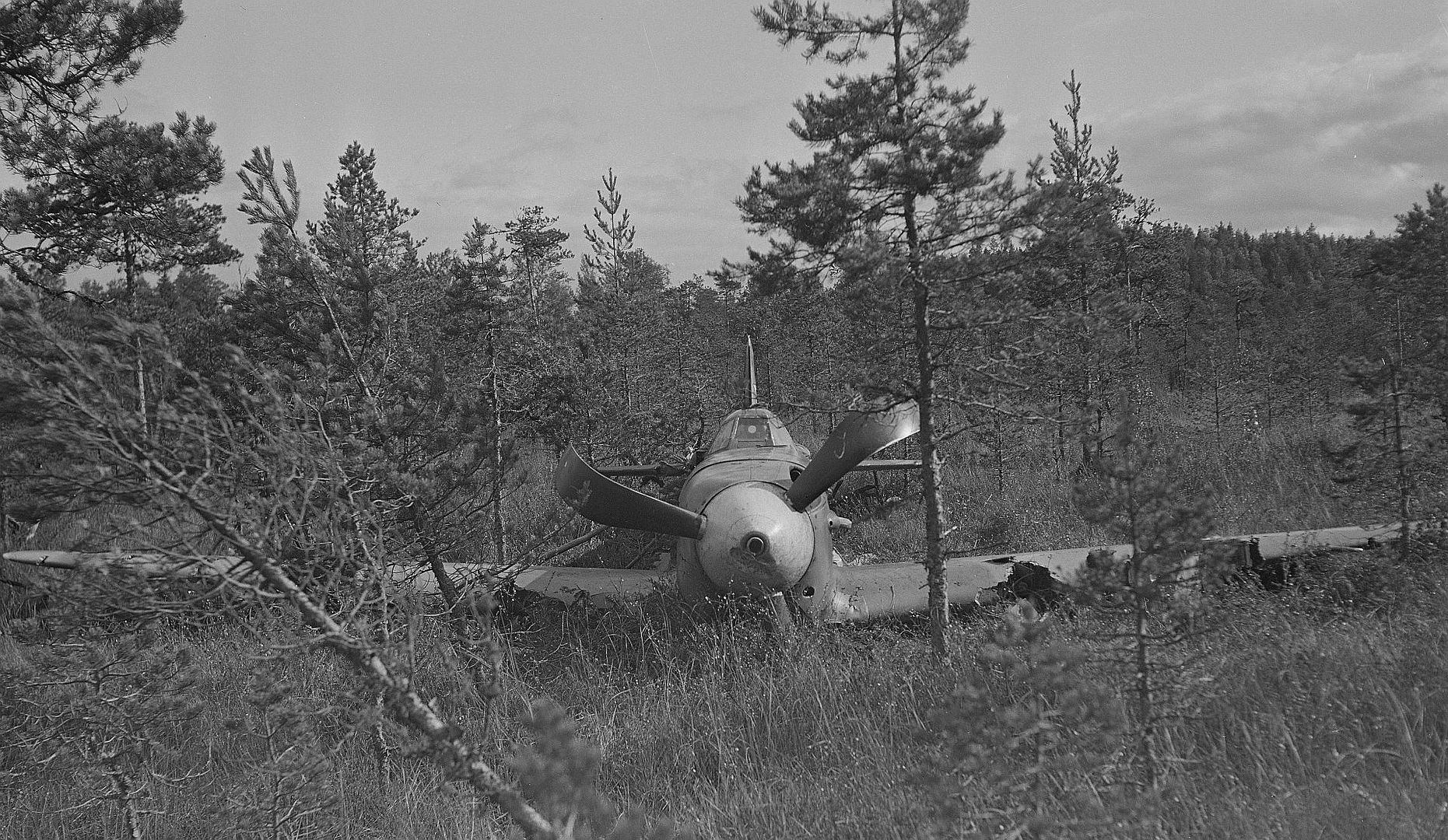 Bdfc15c51faf Bdfc15c51faf