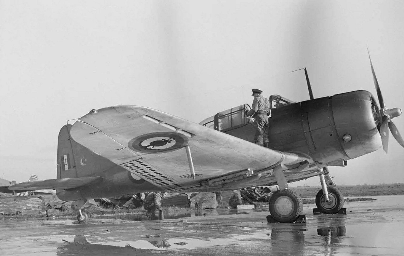 16cc7a568778 16cc7a568778