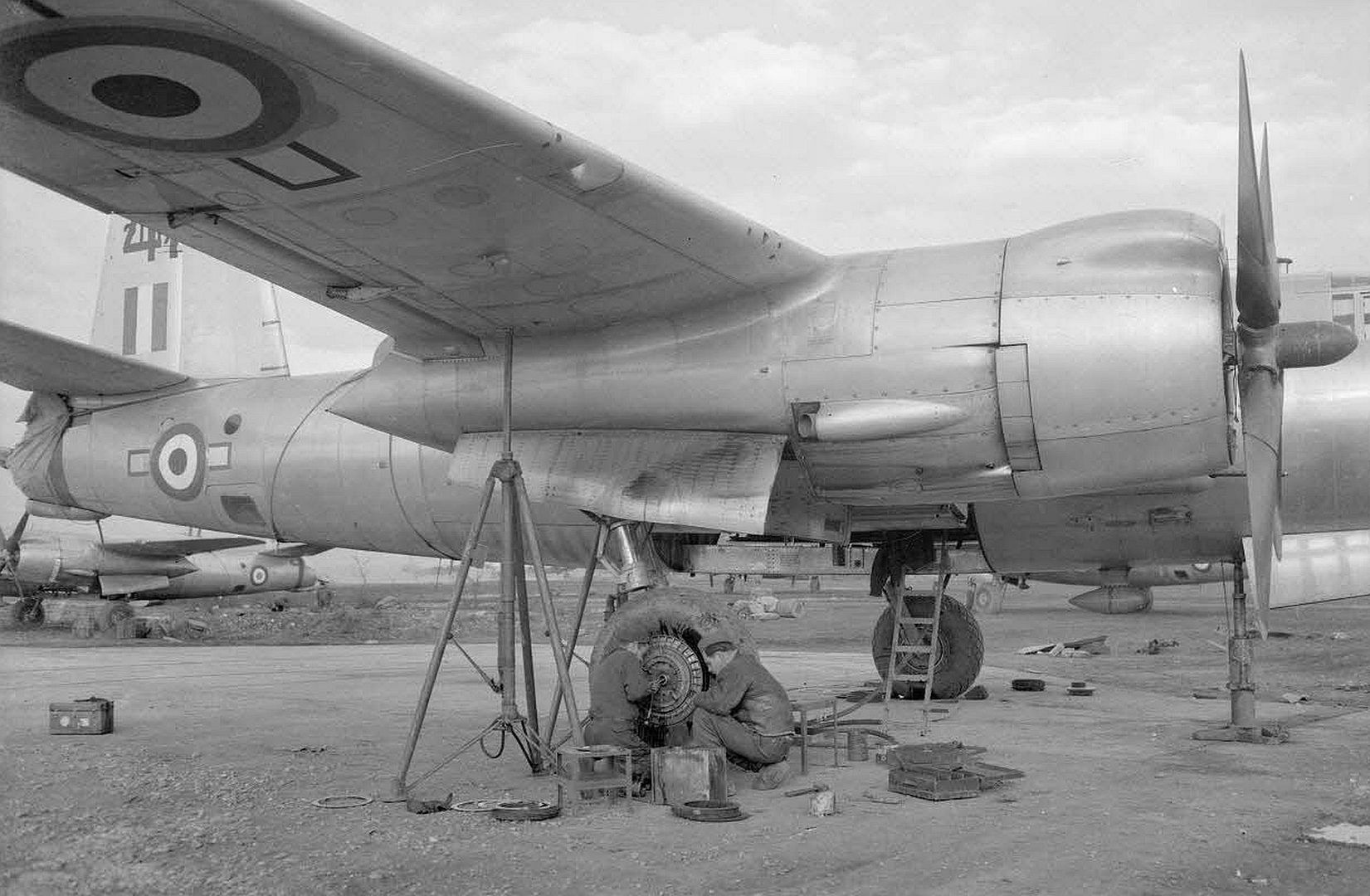 Dabaab64a6e0 Dabaab64a6e0