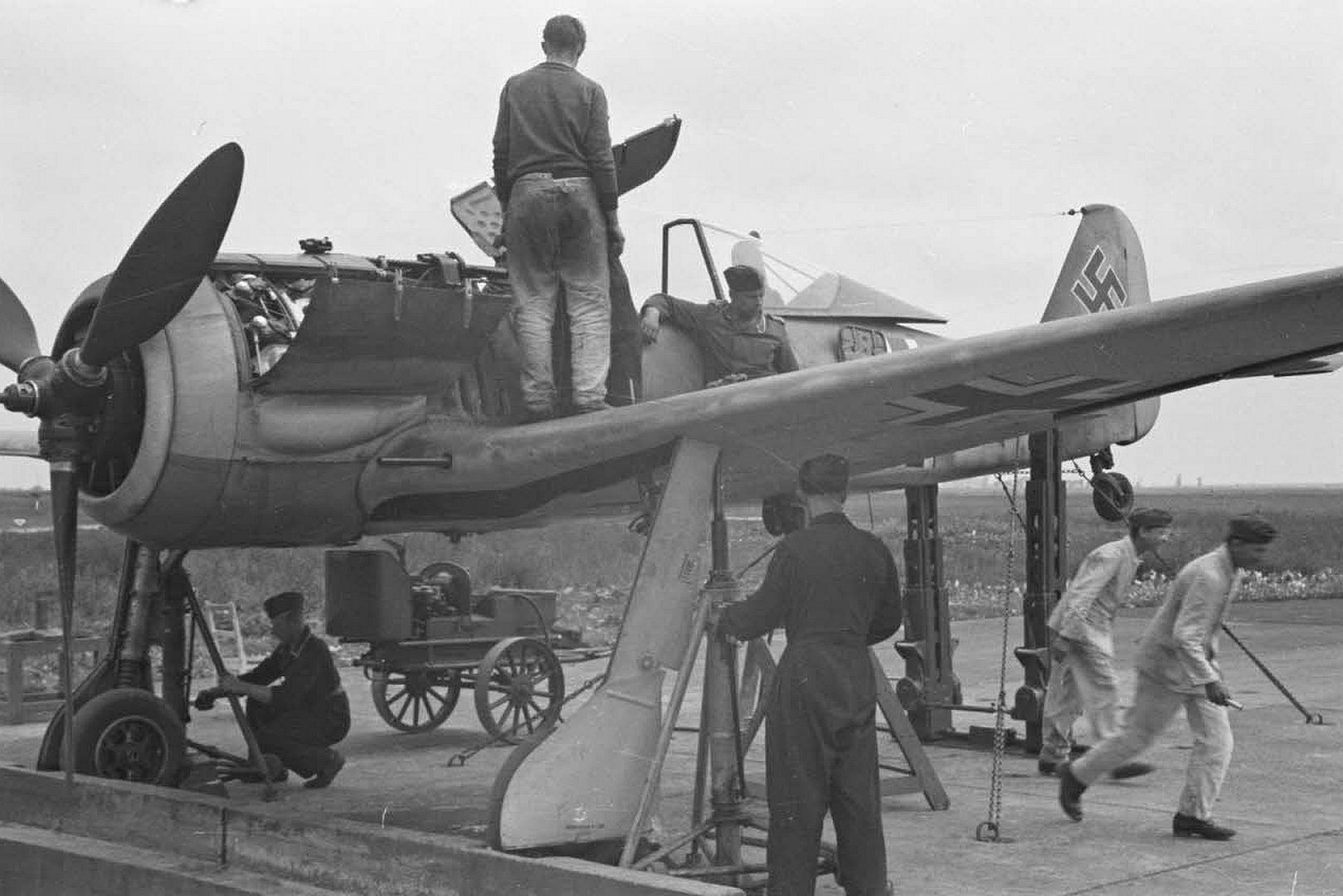 2889556259fc 2889556259fc