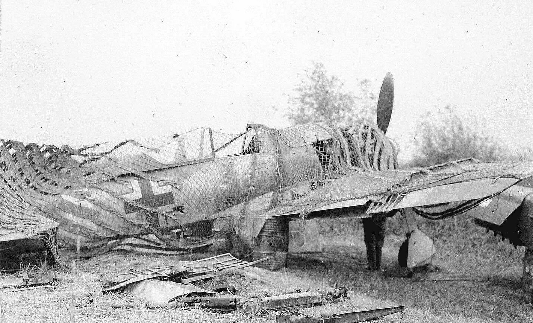 624a5a69e0dc 624a5a69e0dc