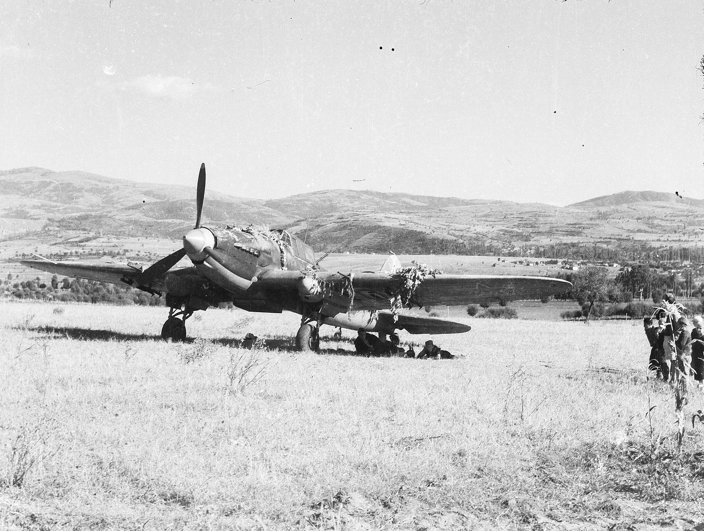 1e44b6813377 1e44b6813377