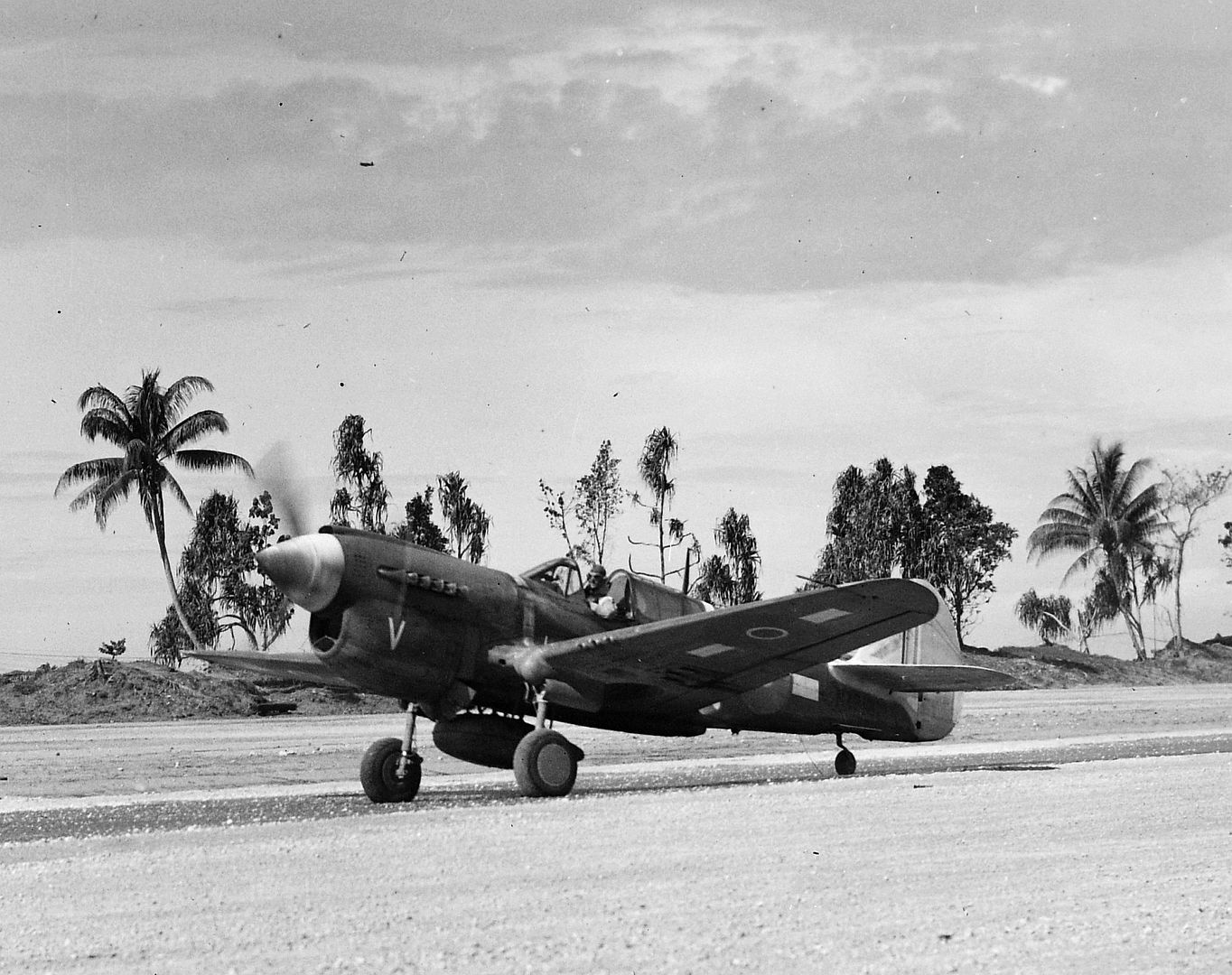 70da81da7631 70da81da7631