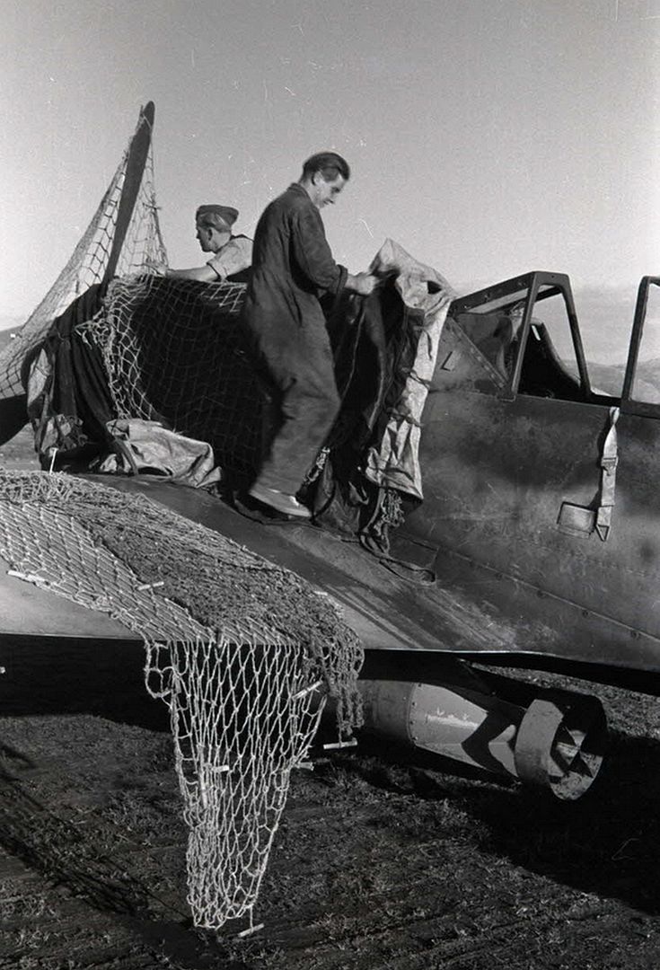 1893ac64f981 1893ac64f981