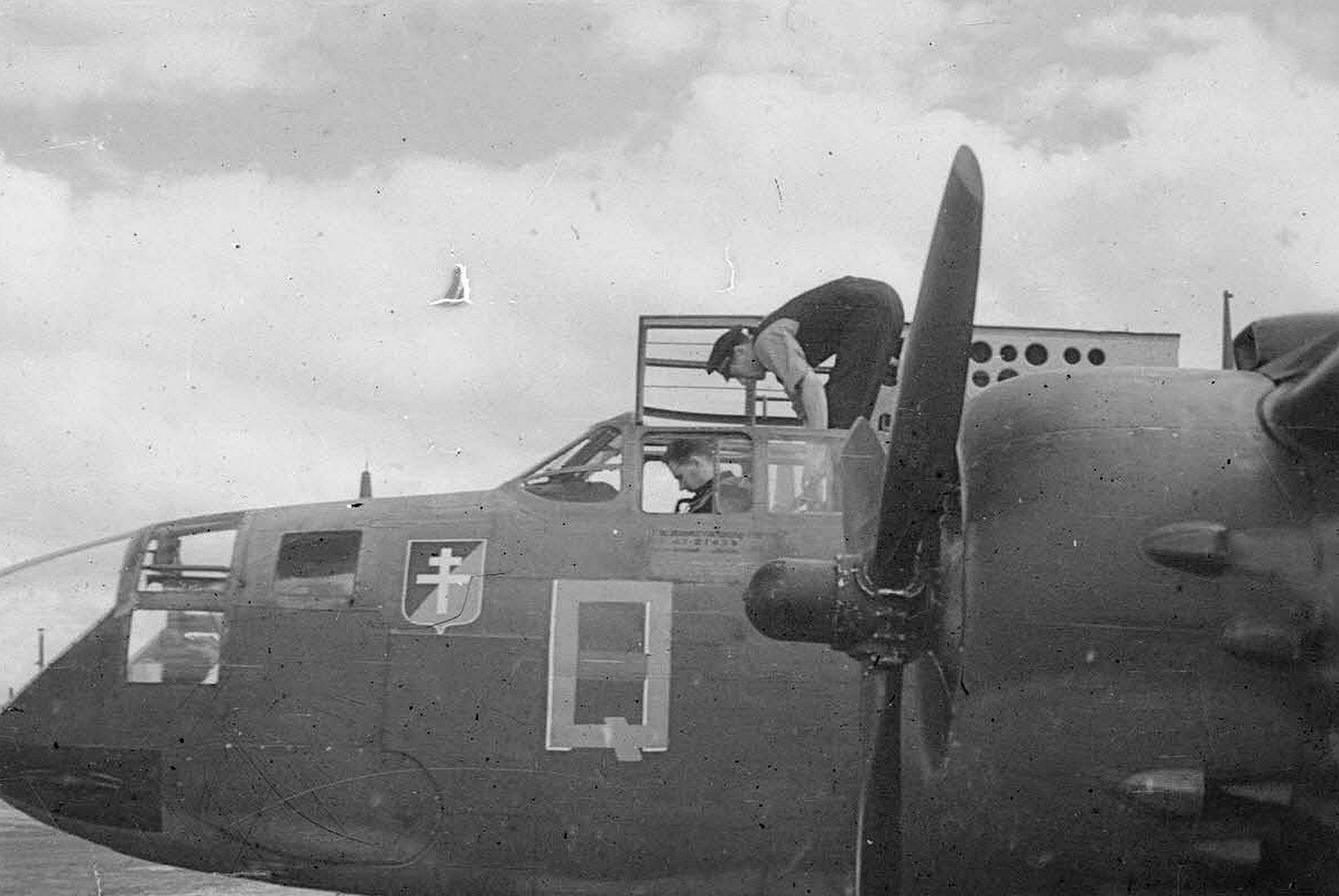 3f5d9ae9502a 3f5d9ae9502a