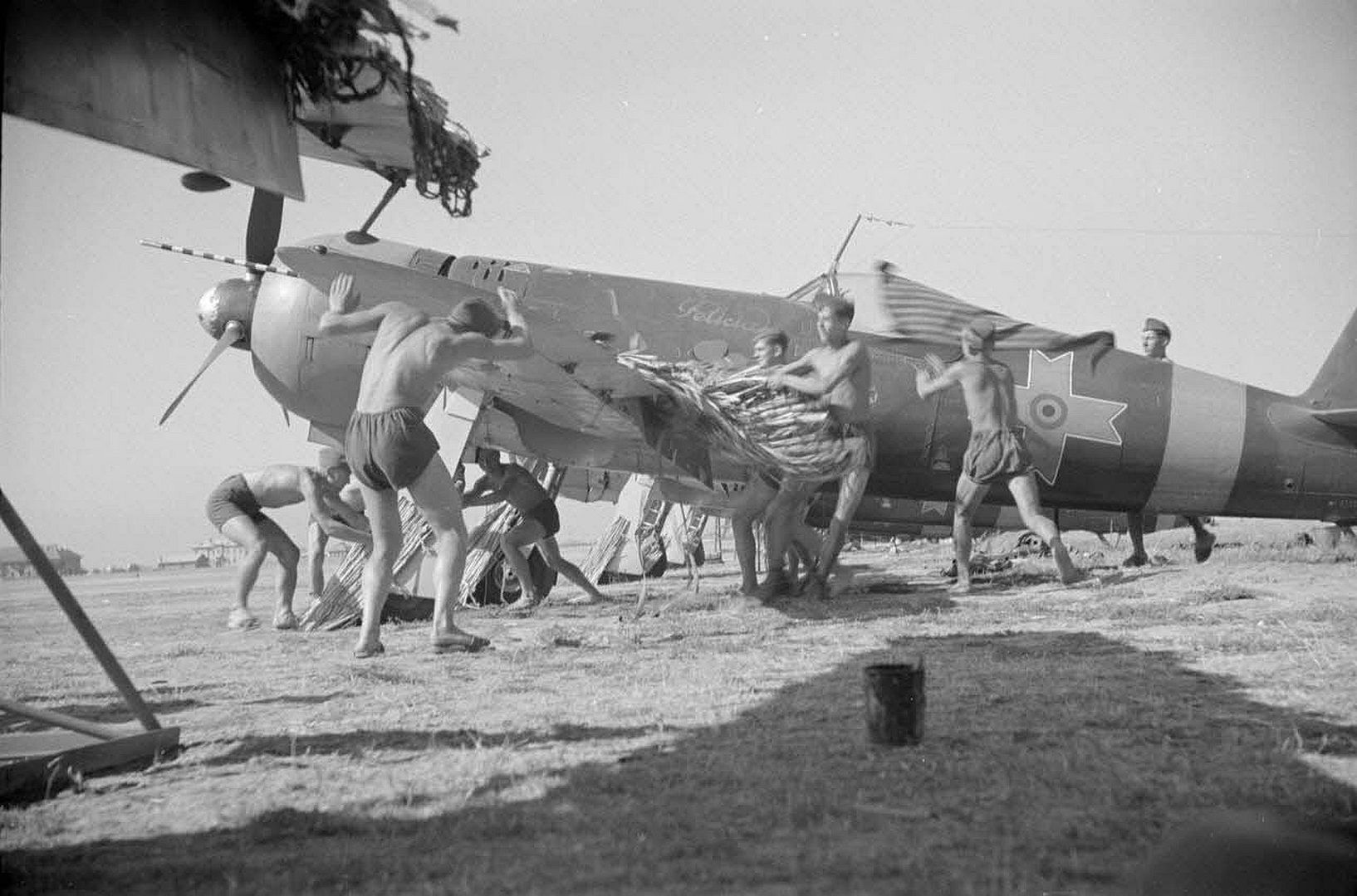 203e81cc6cb3 203e81cc6cb3