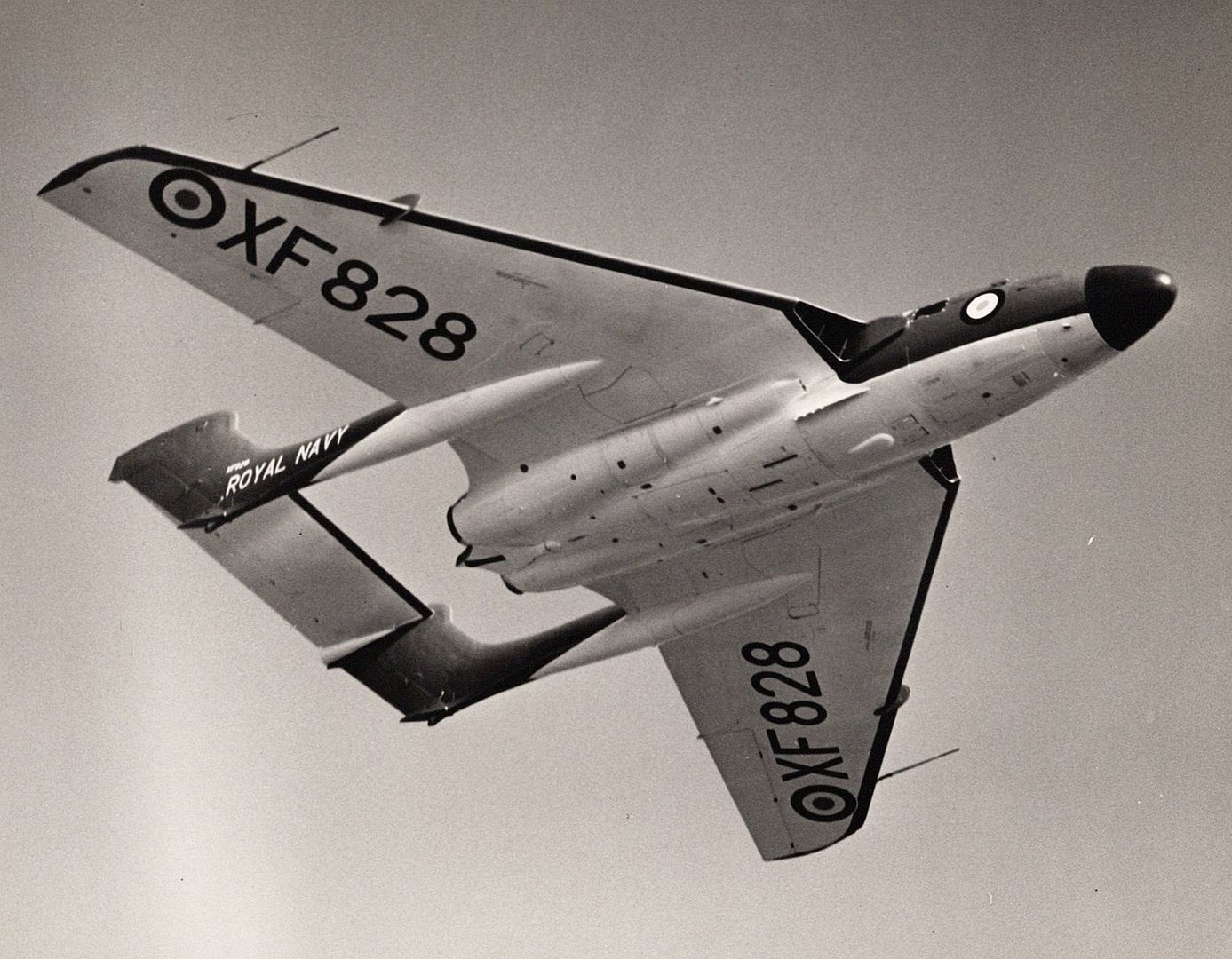 8d0e88e5897b 8d0e88e5897b