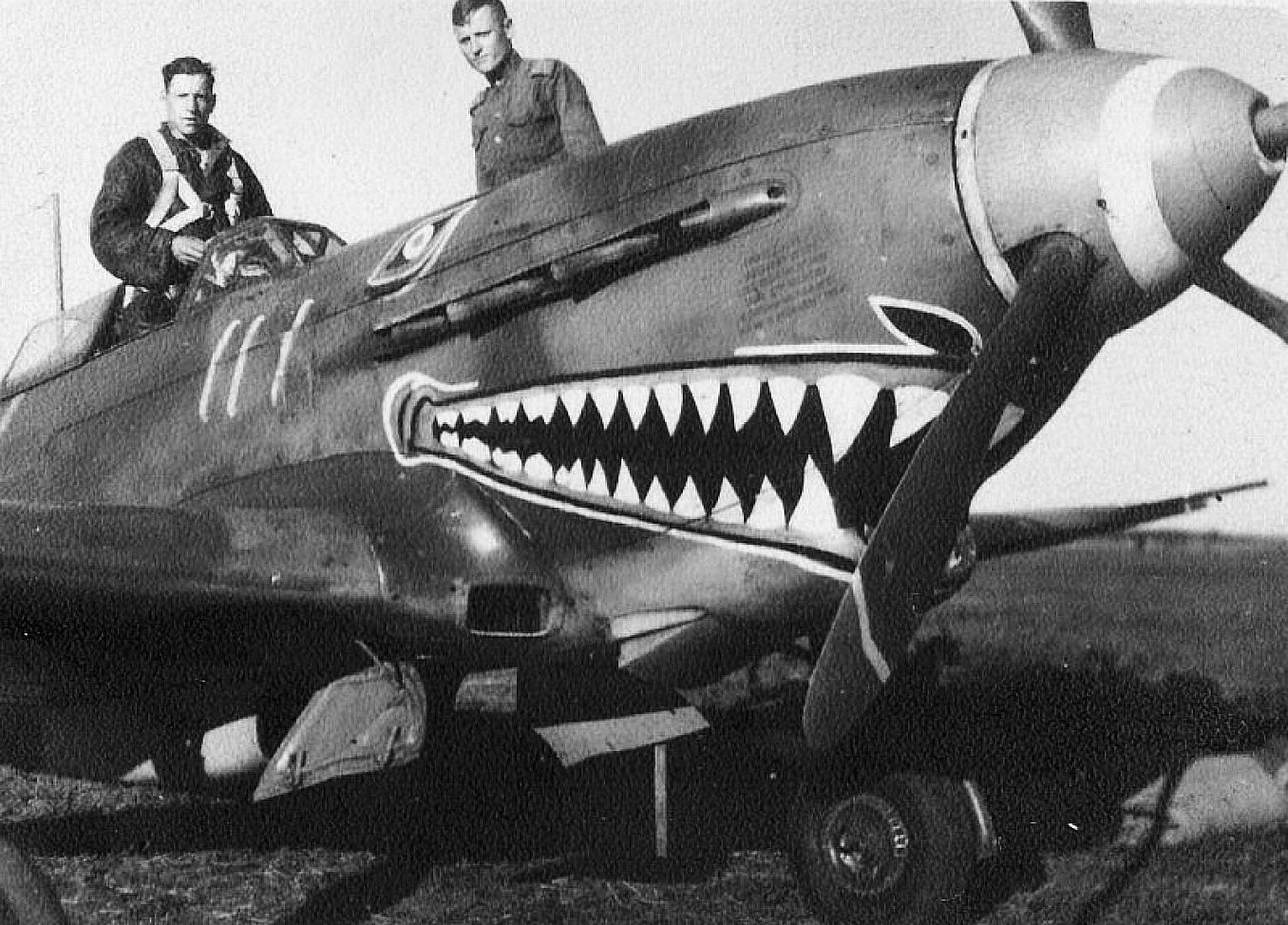 B29bd37efedb B29bd37efedb