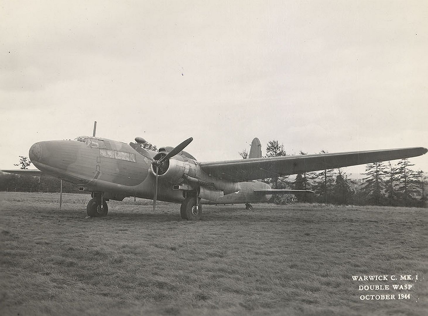 890f2edc3e81 890f2edc3e81