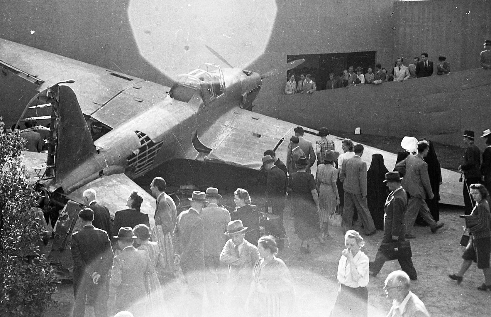 5e3f7fed80e6 5e3f7fed80e6