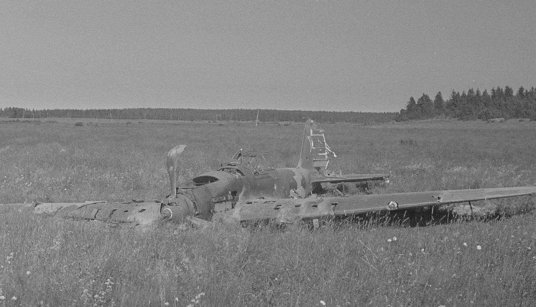 5be311c6fc55 5be311c6fc55