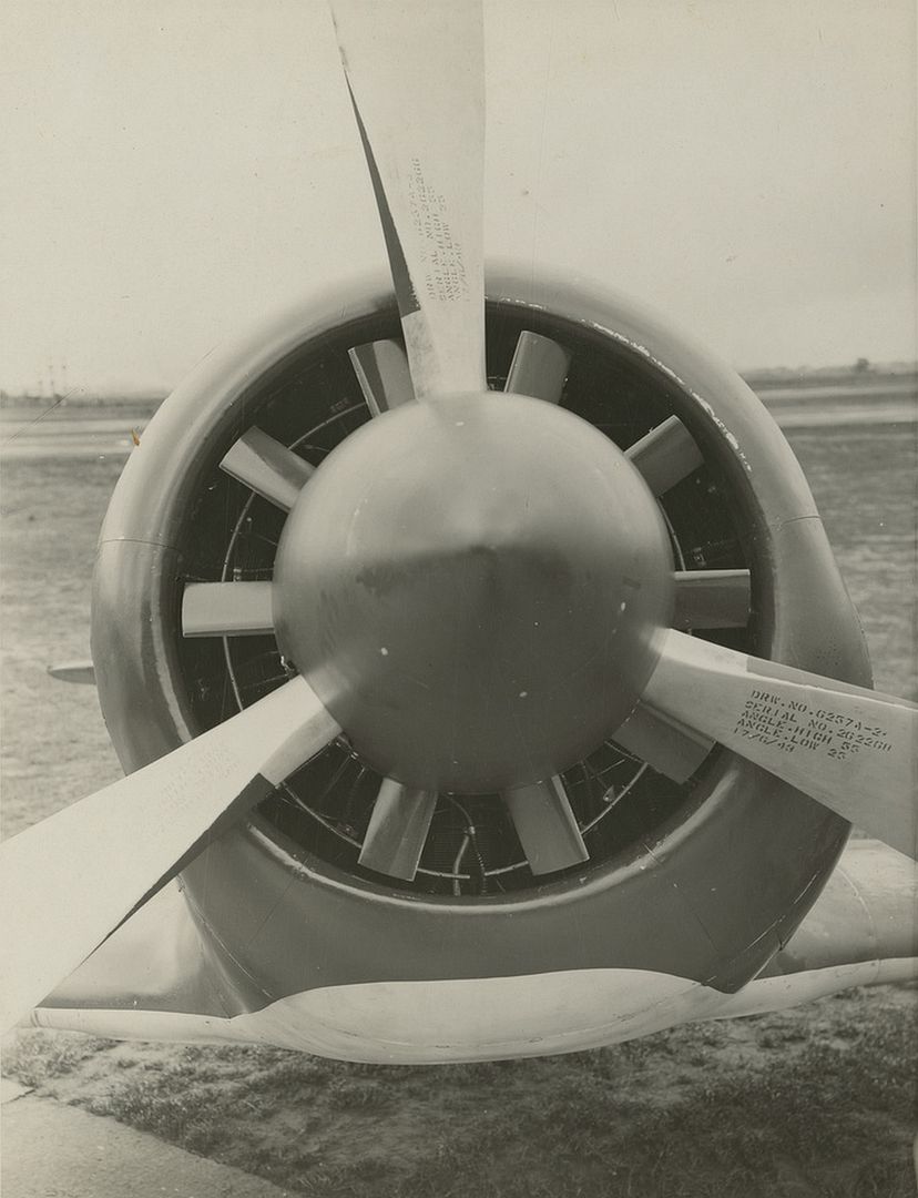 F1ff0c9ca66d F1ff0c9ca66d