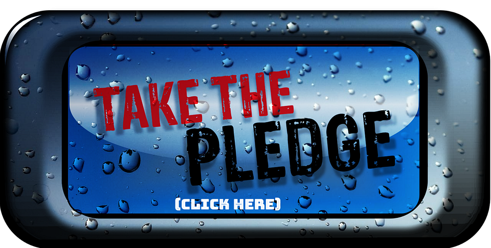 (edited) pledge