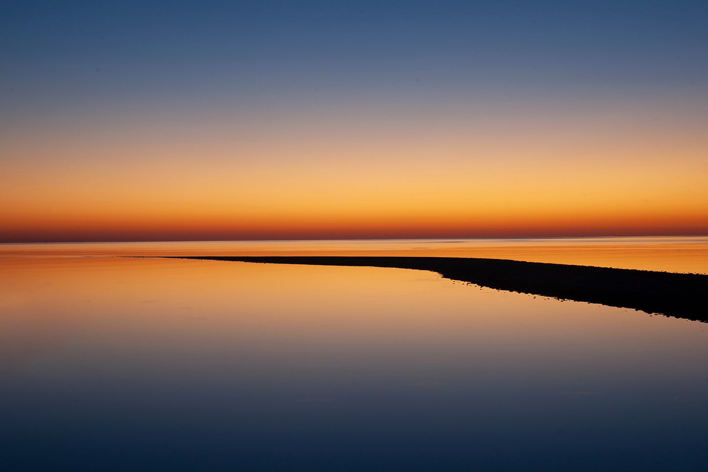 Photo Of the Week