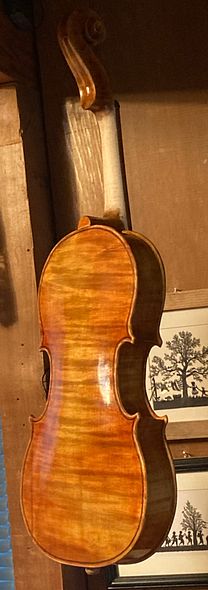 Final varnish coat on five string viola handcrafted in Oregon by Artisanal Luthier, Chet Bishop