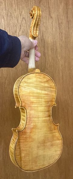 Back view of handmade five string viola, handcrafted in Oregon of European Maple and Spruce, by Artisanal Luthier, Chet Bishop