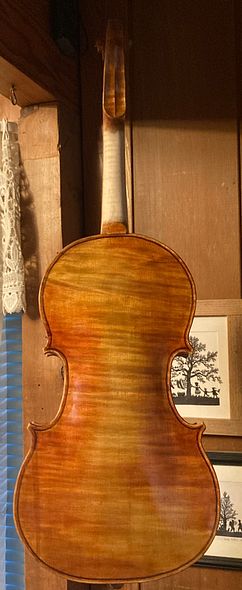 Back of handmade 5-string viola, handcrafted in Oregon by Artisanal Luthier Chet Bishop