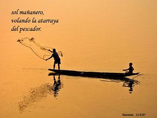 1d2e4616-05f8-4eeb-8db2-30bd89a9d0e4.jpg