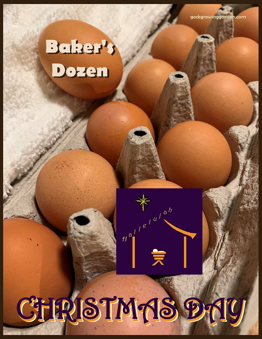 BakersDozenChristmasDay