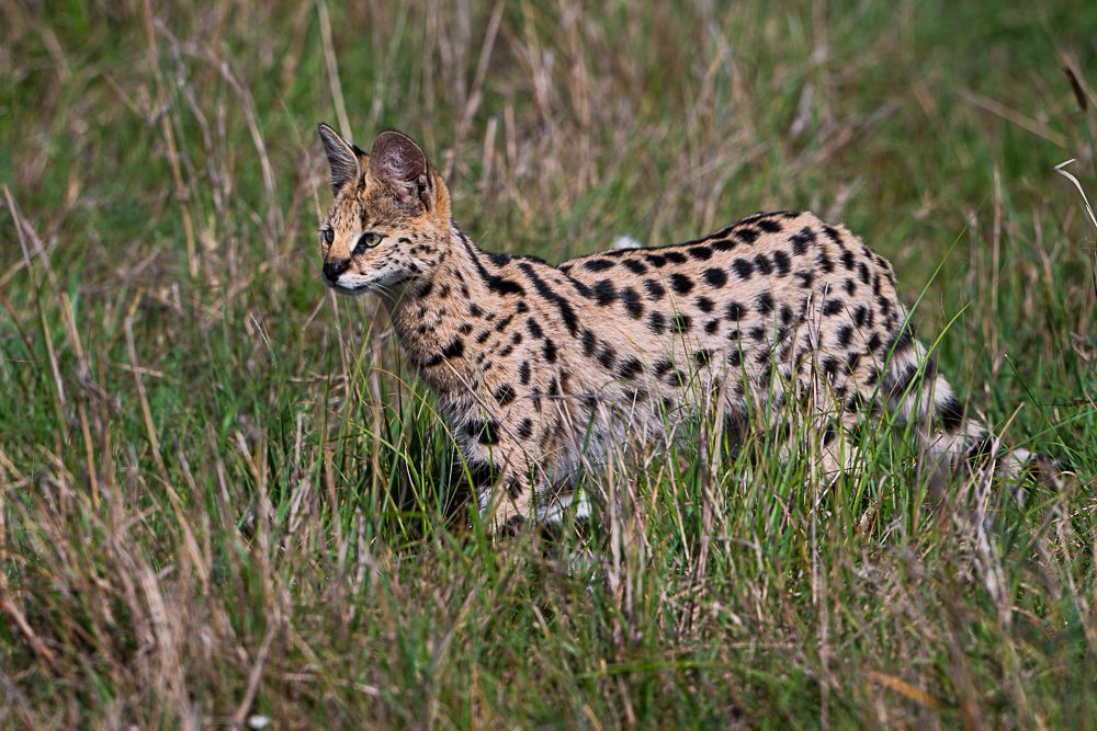 bbd4fd0d-7071-405f-b963-821913350f02.jpg