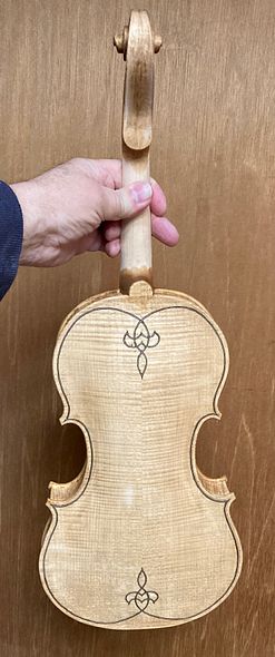 Back with sealer, handmade 5-string fiddle, European Maple and Spruce, handcrafted in Oregon by Artisanal Luthier, Chet Bishop.