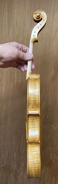 Yellow base coat on handmade 5-string fiddle, of European woods, handcrafted in Oregon by Artisanal Luthier, Chet Bishop