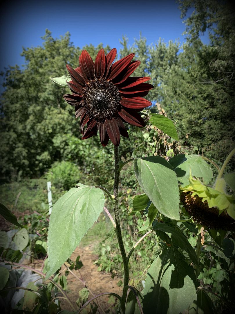 unnamed - 2025-09-04T104743.256