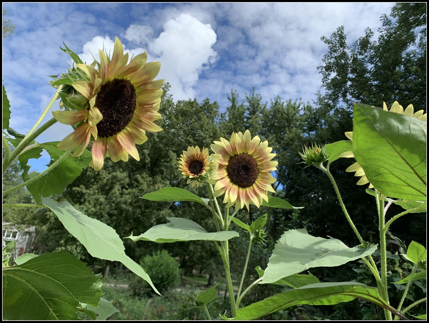 unnamed - 2025-08-28T222731.567