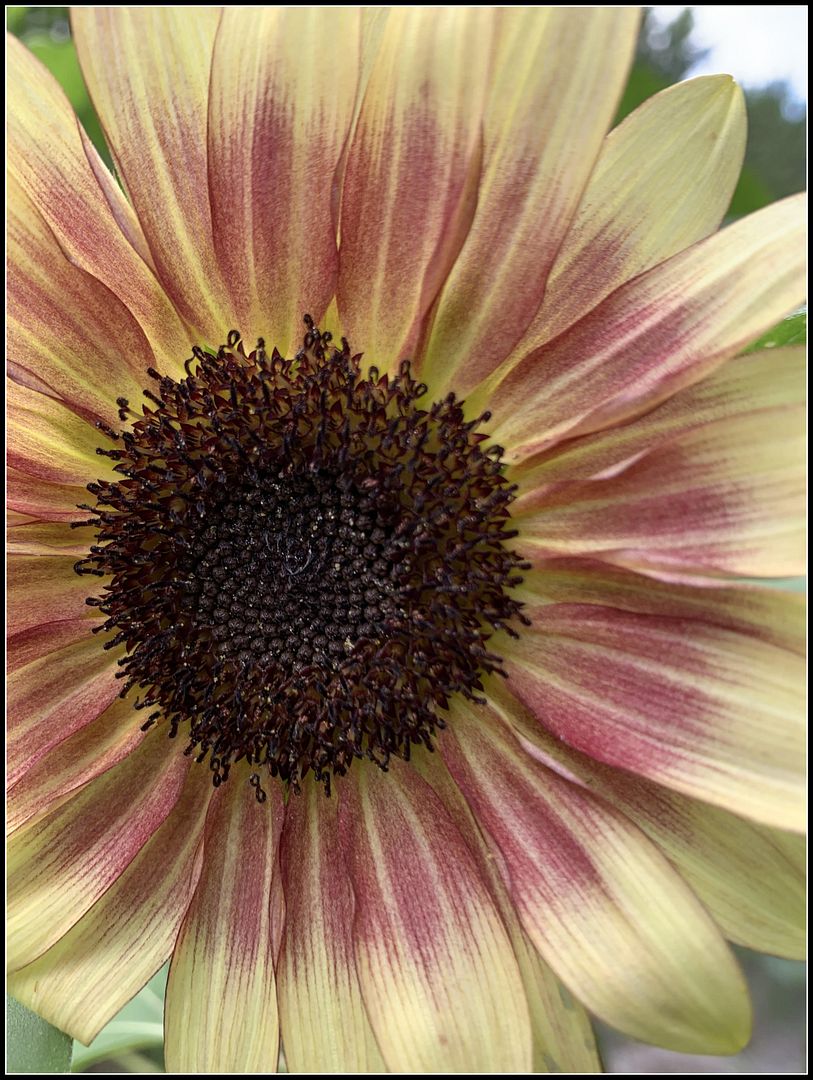 unnamed - 2025-08-22T201507.506