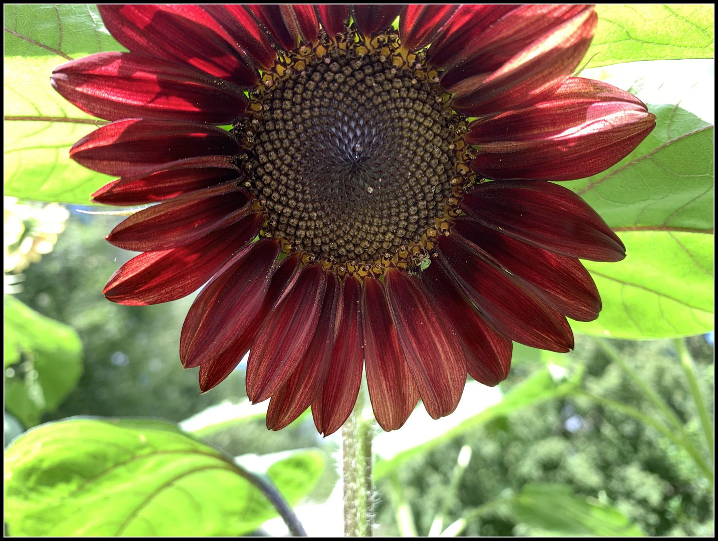 unnamed - 2025-08-25T023443.370