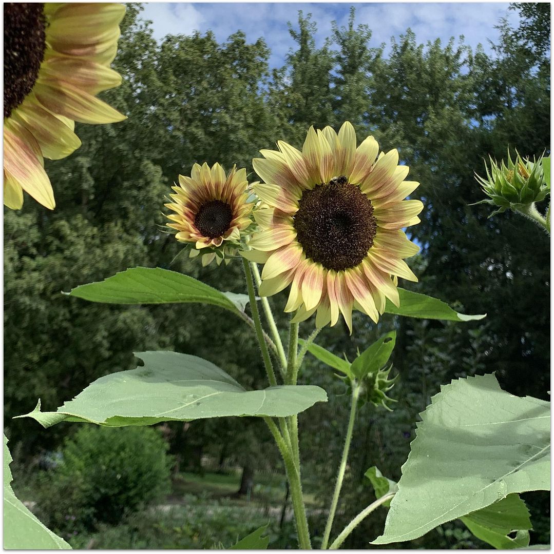 unnamed - 2025-08-28T222913.721