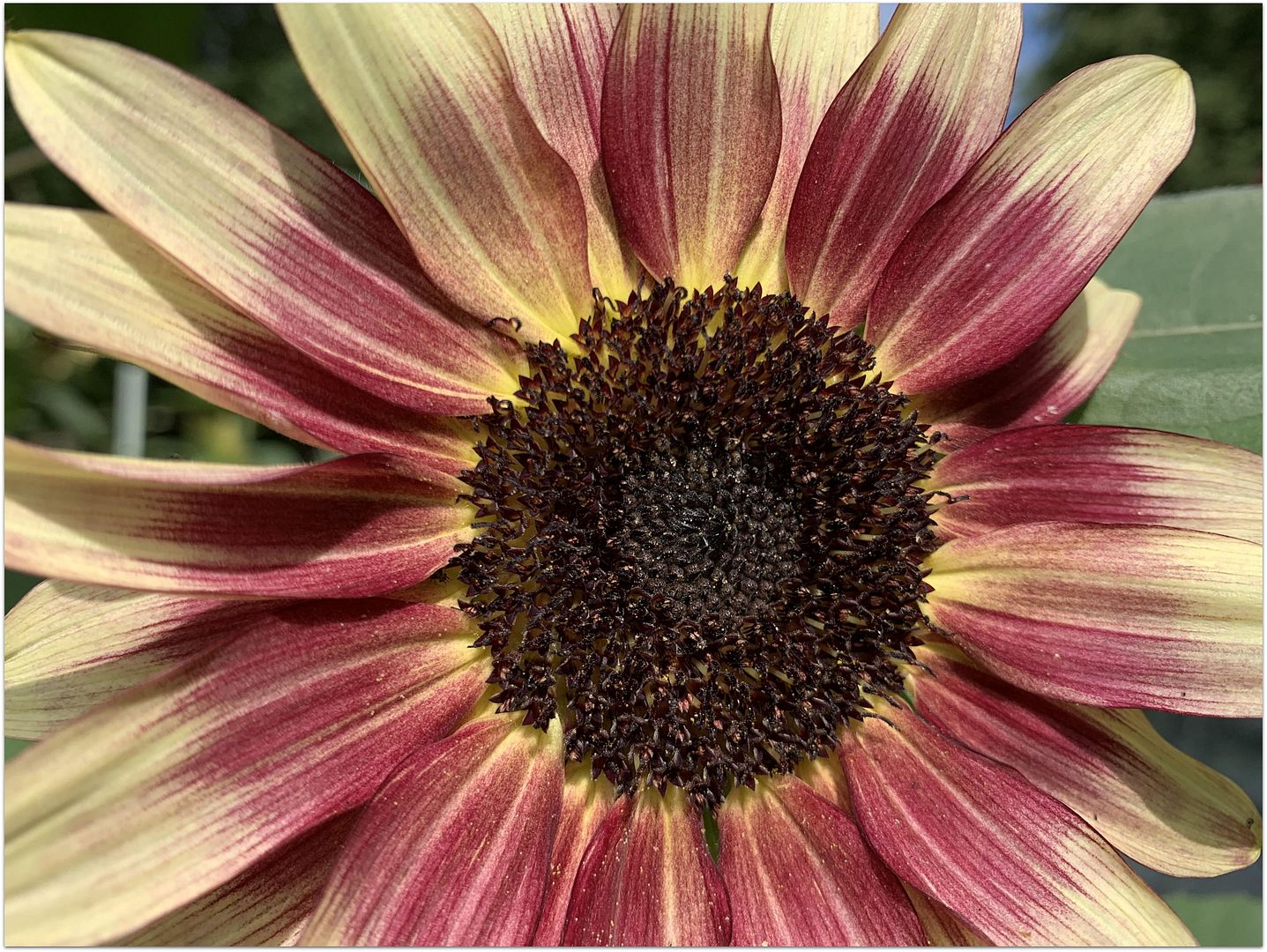 unnamed - 2025-08-28T222641.753