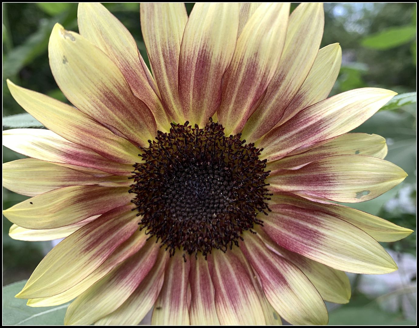 unnamed - 2025-08-22T201450.365