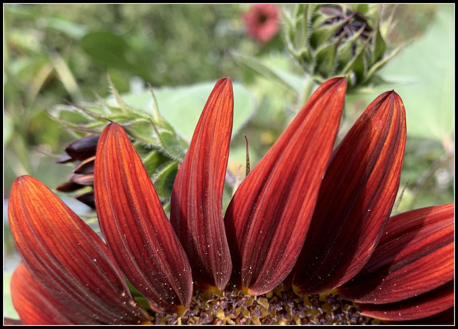 unnamed - 2025-09-06T160229.572