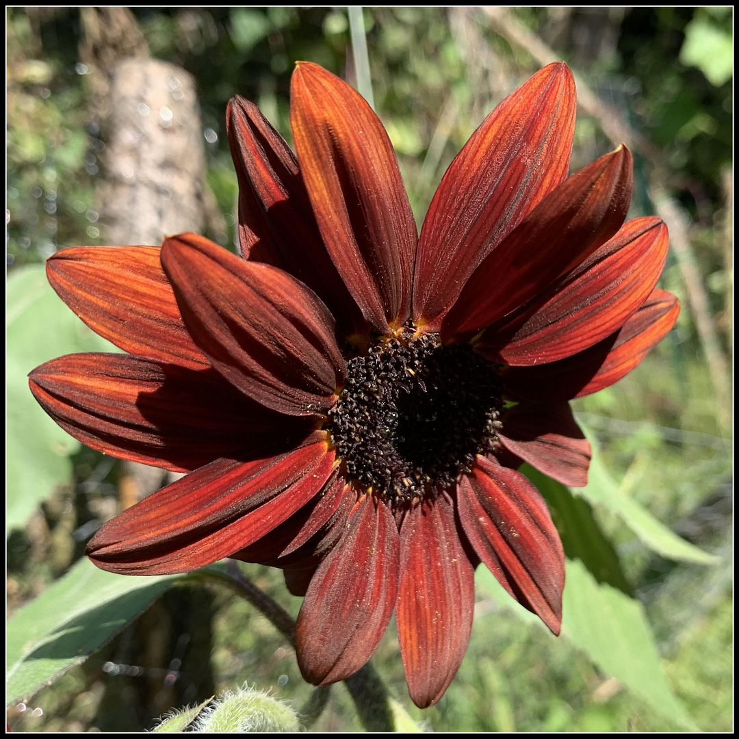 unnamed - 2025-09-22T173144.696