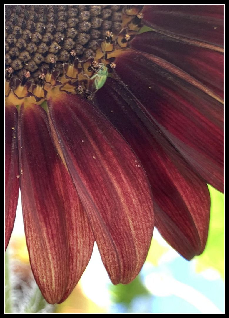 unnamed - 2025-08-25T023510.434