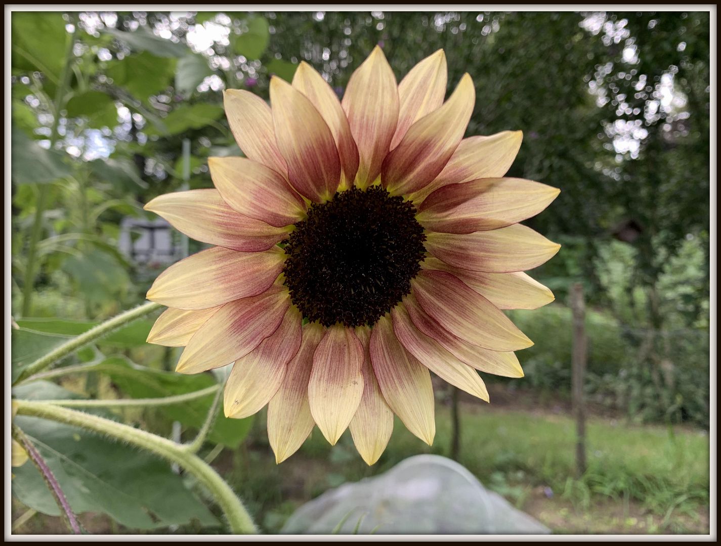 unnamed - 2025-09-13T150218.544