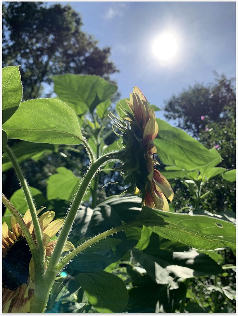 unnamed - 2025-08-28T220051.900