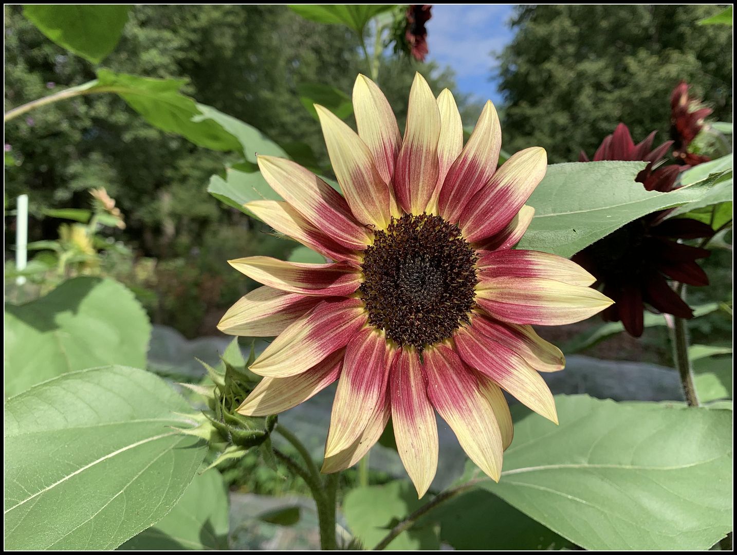 unnamed - 2025-08-28T222620.886