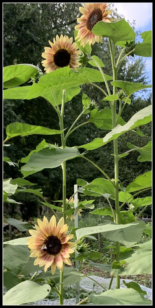 unnamed - 2025-08-22T201021.182