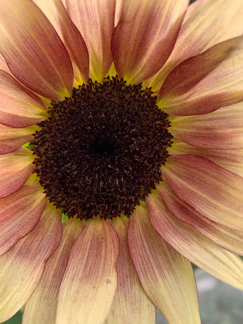 unnamed - 2025-09-13T150304.666