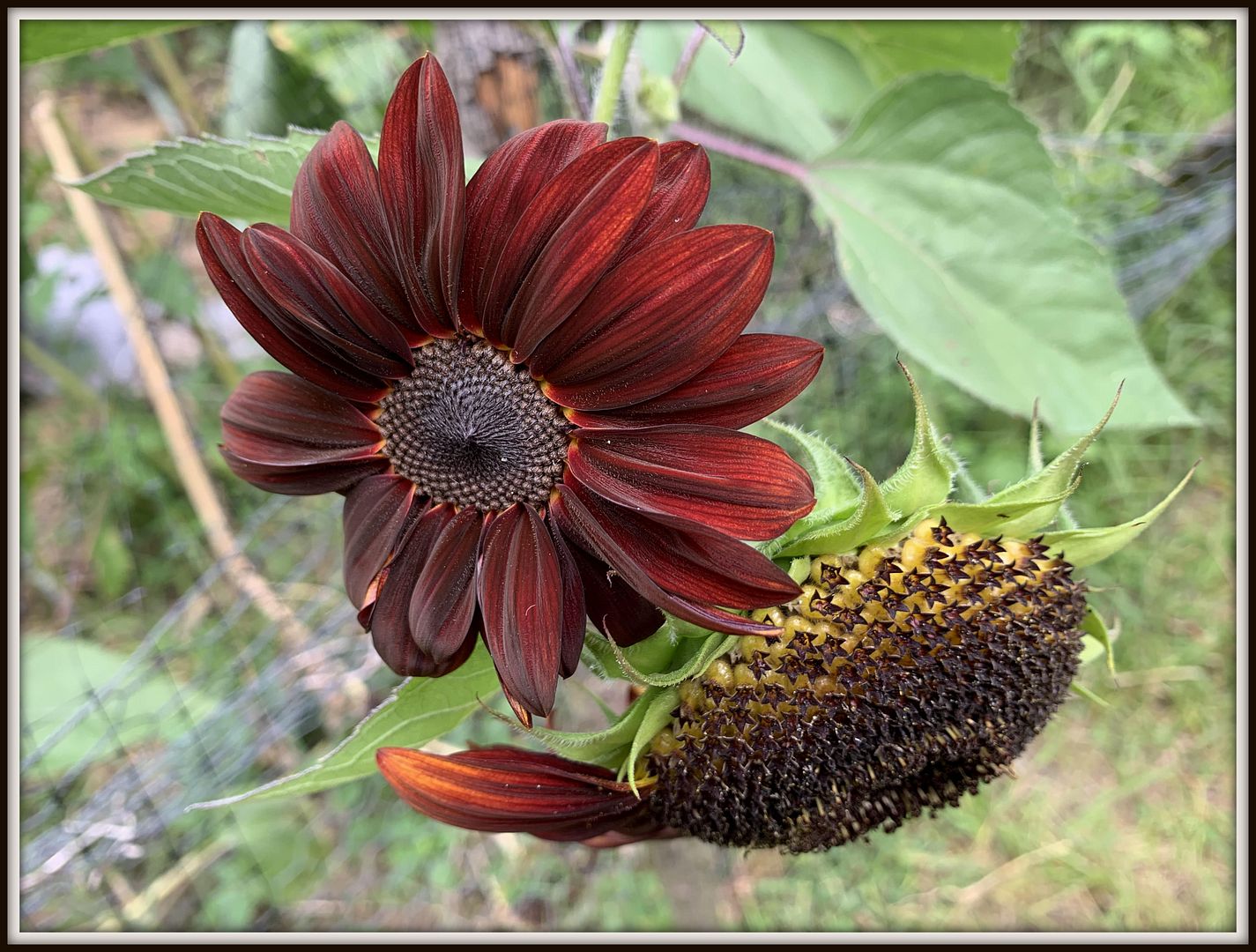 unnamed - 2025-09-06T161620.945