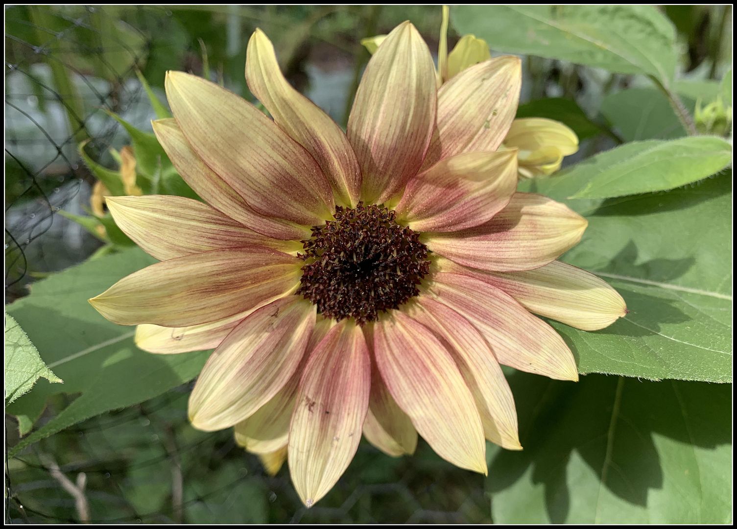 unnamed - 2025-09-13T150242.040