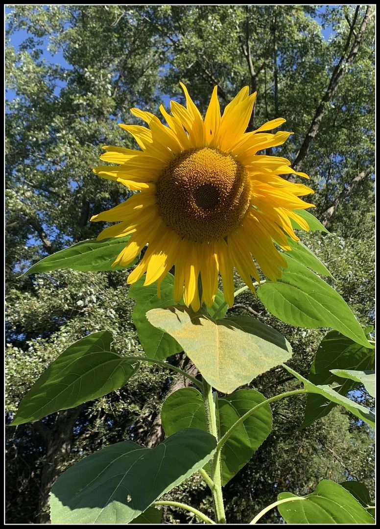 unnamed (25)