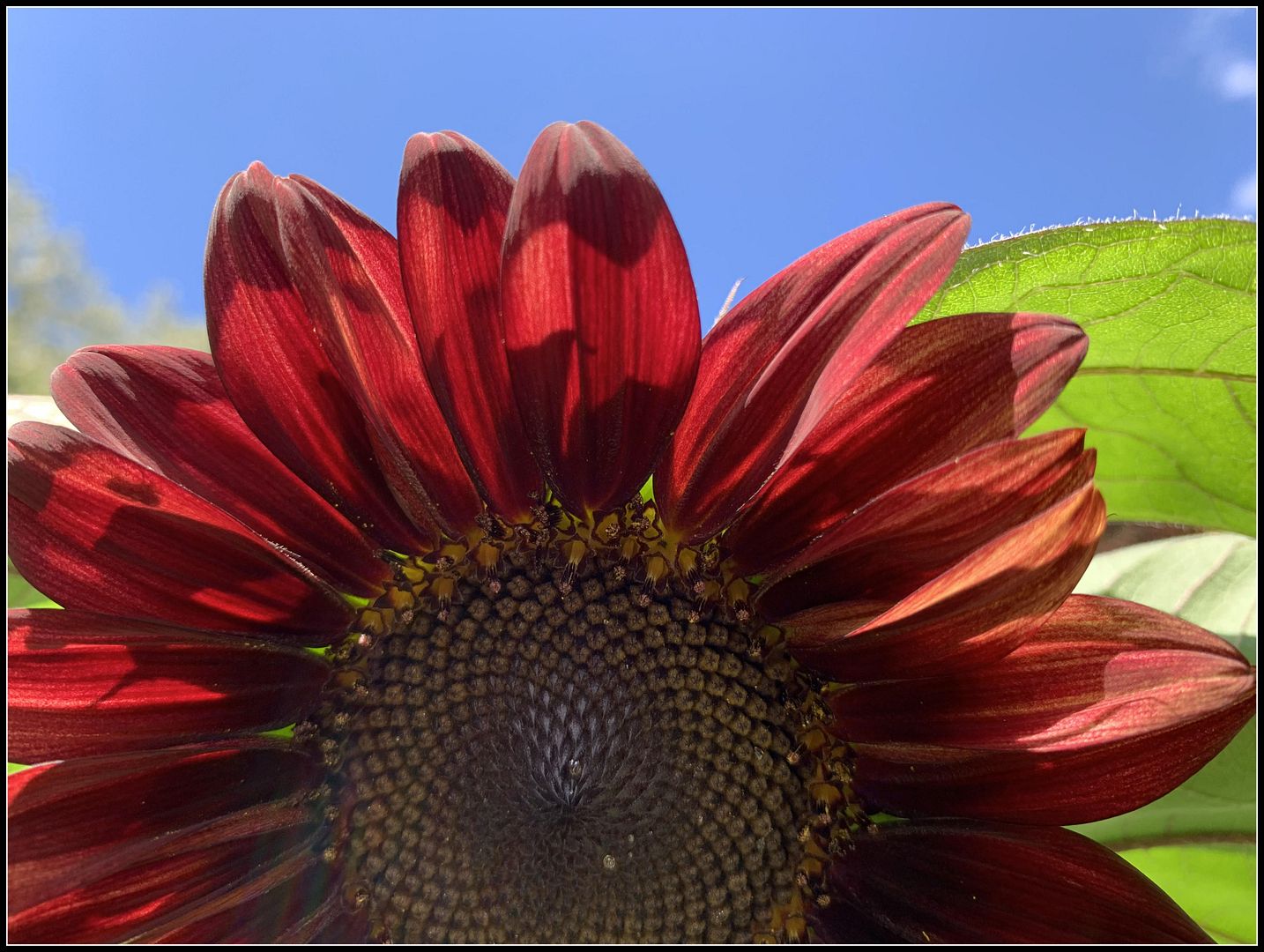 unnamed - 2025-08-25T022847.776