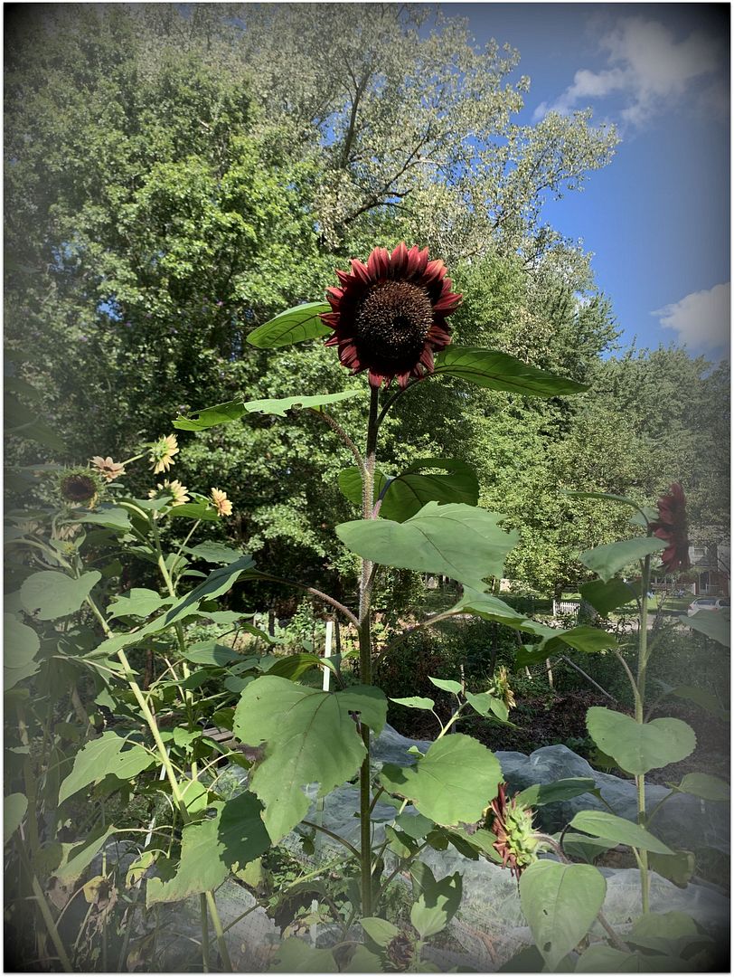 unnamed - 2025-09-02T001959.486