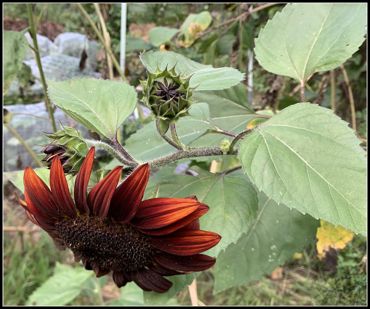 unnamed - 2025-09-06T160047.756