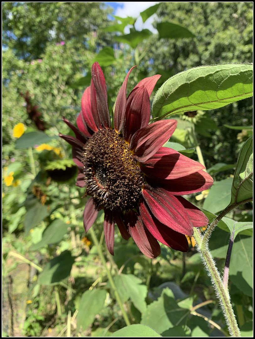 unnamed - 2025-09-02T002109.238