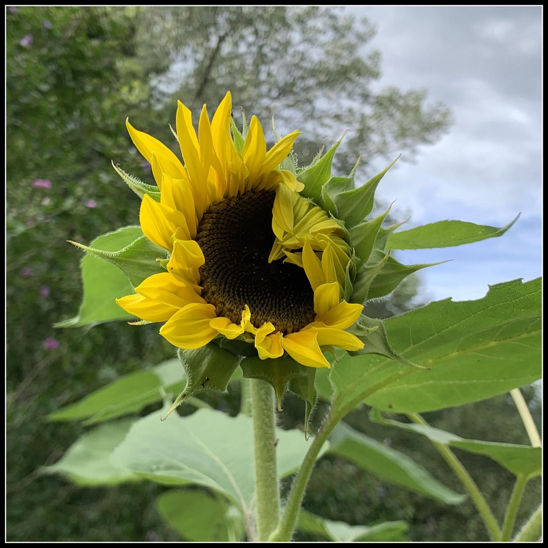 unnamed (50)
