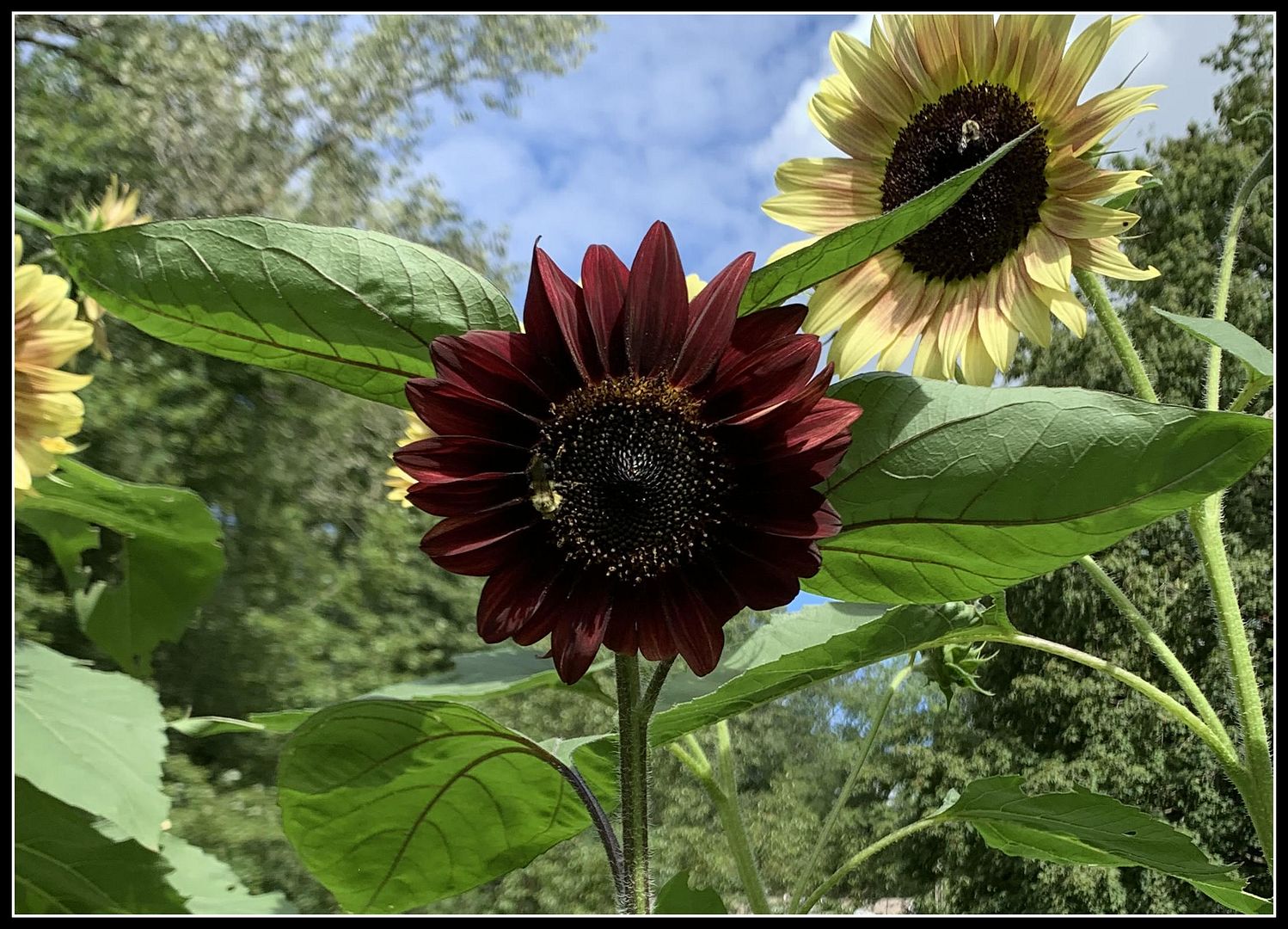 unnamed - 2025-08-28T222753.526